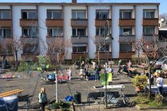 Pflanzentausch-Aktion Nibelungenplatz 26.03.22