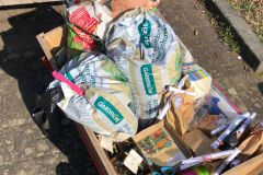 Pflanzentausch-Aktion Nibelungenplatz 26.03.22