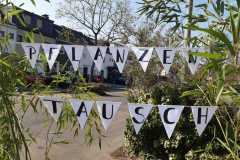 Pflanzentausch-Aktion Nibelungenplatz 26.03.22