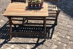 Pflanzentausch-Aktion Nibelungenplatz 26.03.22