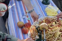 Pflanzentausch-Aktion Nibelungenplatz 26.03.22